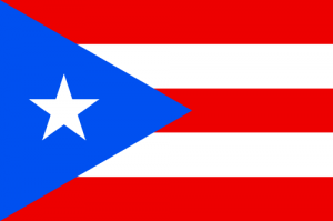 Puerto Rico Auto Transport Services